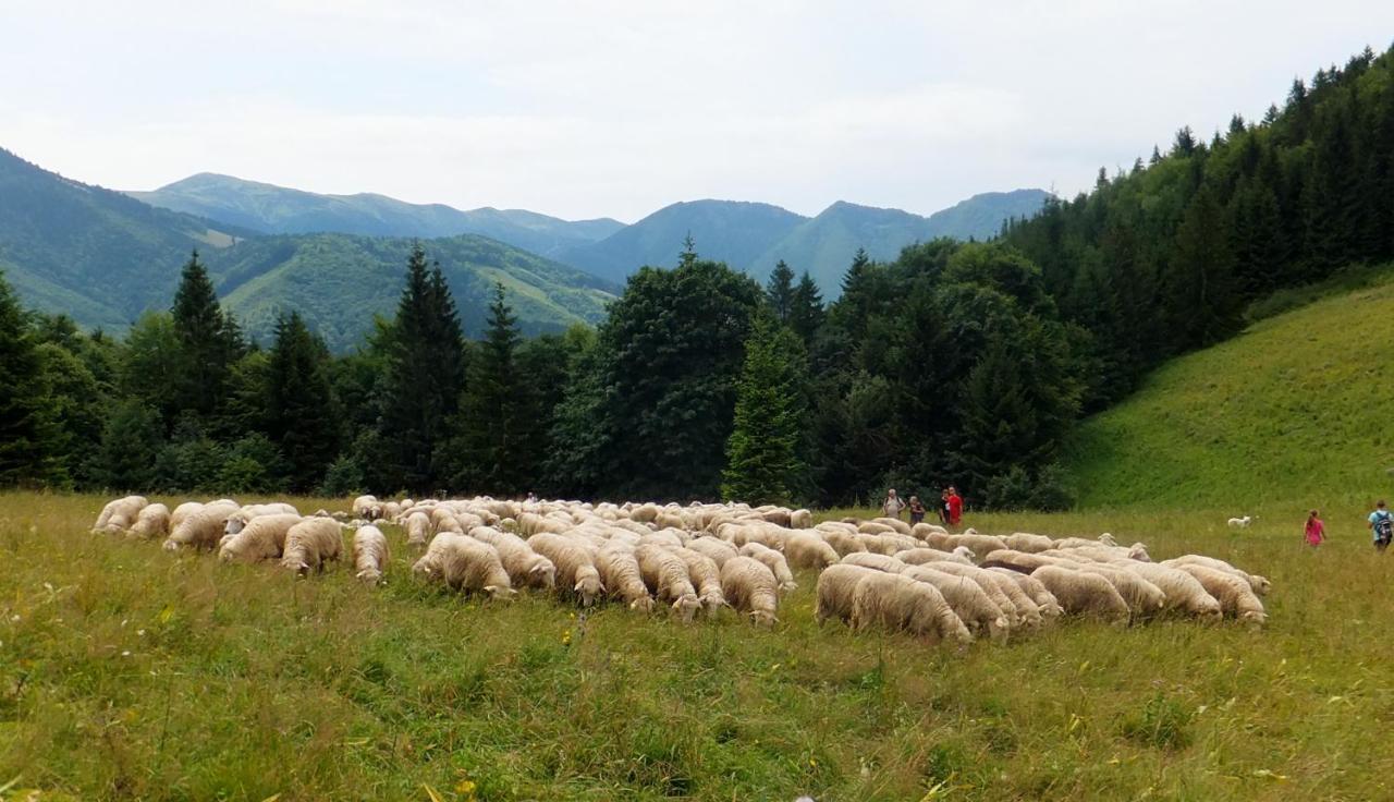 Chata Podolina Terchová Dış mekan fotoğraf